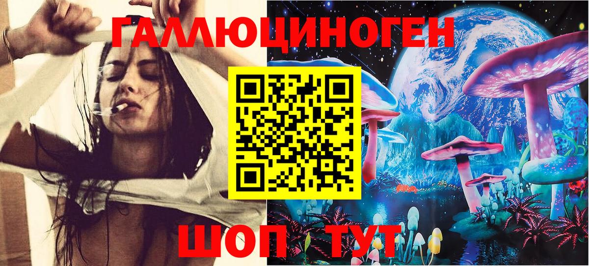 как найти наркотики  Галлюциногенные грибы мухоморы  Свободный  Вход с VPN  Псилоцибиновые грибы Psilocybe 
