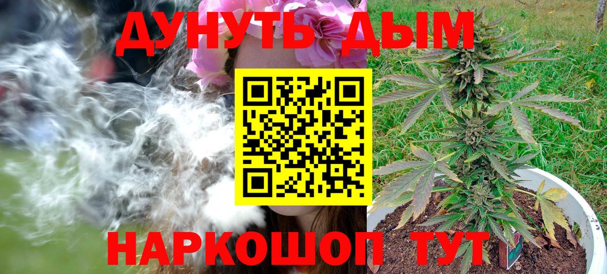 Бошки Шишки семена  Каннабис OG Kush  МАРИХУАНА планчик  Свободный  Вход с VPN  Каннабис SATIVA & INDICA 
